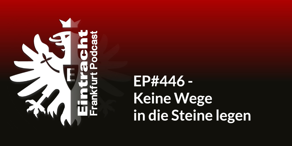 EP#446 - Keine Wege in die Steine legen