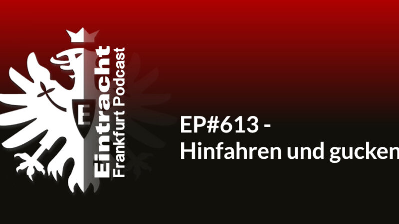 EP#613 - Hinfahren und gucken